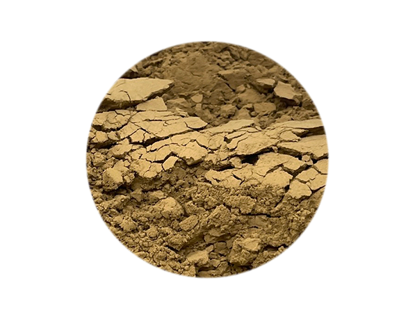 日本滿壽多園焙茶粉